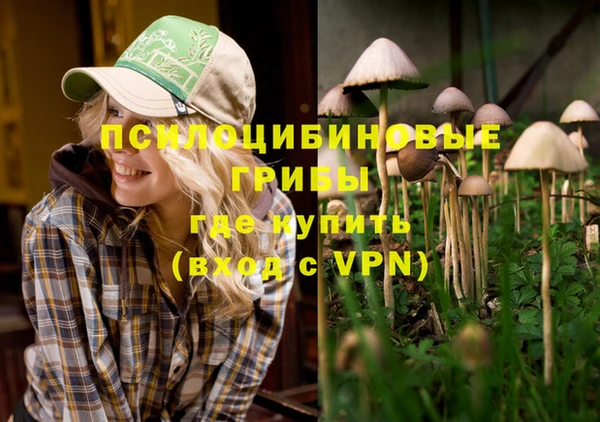 меф Зеленодольск