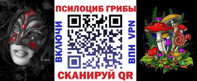 Купить  Зеленоградск  Псилоцибиновые грибы Psilocybe 
